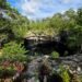 ¿Qué esconde el cenote Yaakun? INAH protege un hallazgo arqueológico único