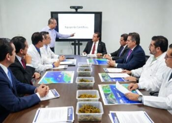 ¡Alistan ooootra estrategia integral contra el sargazo! Ahora participarán científicos