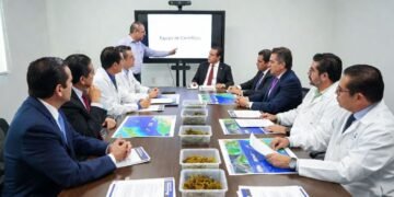 ¡Alistan ooootra estrategia integral contra el sargazo! Ahora participarán científicos