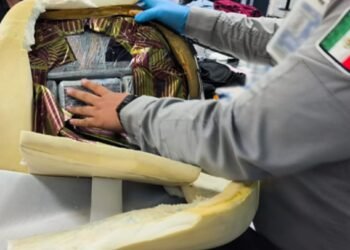¿Habrías imaginado dónde iba oculta? Decomisan 12 kilos de droga en el Aeropuerto de Cancún