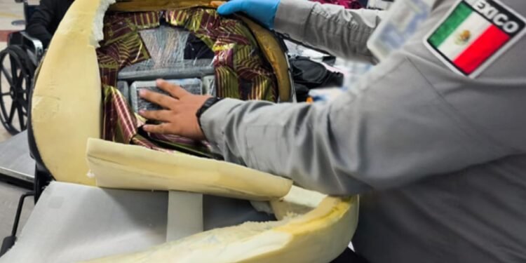 ¿Habrías imaginado dónde iba oculta? Decomisan 12 kilos de droga en el Aeropuerto de Cancún