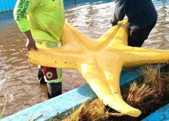 Aficionados causan destrozos en la Glorieta del Ceviche tras triunfo de México
