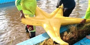 Aficionados causan destrozos en la Glorieta del Ceviche tras triunfo de México