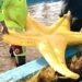 Aficionados causan destrozos en la Glorieta del Ceviche tras triunfo de México
