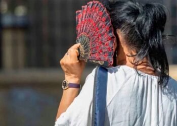 ¿Crees que solo es “mucho calor”? Los casos y muertes siguen aumentando