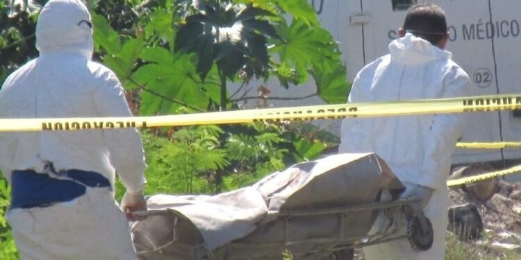 ¿Está cambiando la seguridad? QRoo ya es Top 3 nacional en reducción de homicidios