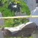 ¿Está cambiando la seguridad? QRoo ya es Top 3 nacional en reducción de homicidios