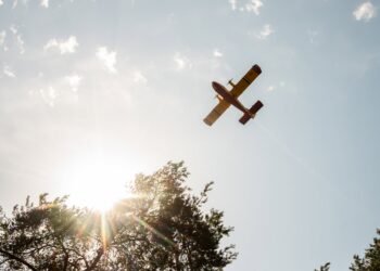 Confesión sorprende a Francia: bombero acepta haber iniciado incendio en Fontainebleau