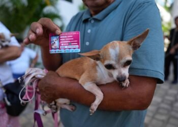 ¡Van por segunda ronda! Más microchips para mascotas en Playa del Carmen