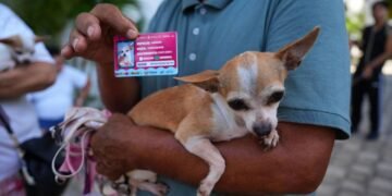¡Van por segunda ronda! Más microchips para mascotas en Playa del Carmen