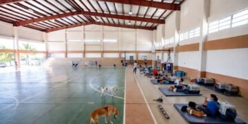 ¡Entérate! Las mascotas son parte de la familia y tendrán lugar en los refugios contra huracanes