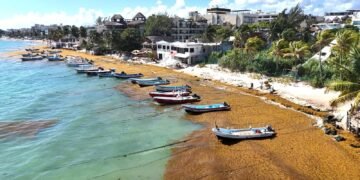 Hoteleros piden a Sheinbaum usar cobro de derecho ambiental para el combate al sargazo