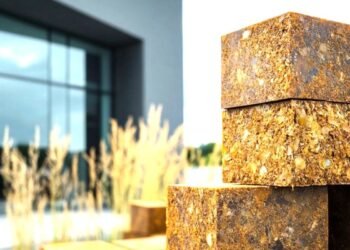 ¿Será seguro para los peluditos? Planean construir refugio con bloques de sargazo