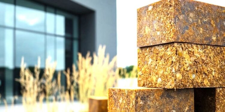 ¿Será seguro para los peluditos? Planean construir refugio con bloques de sargazo