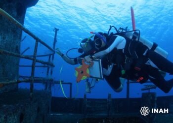 ¿Te atreverías a explorar un museo bajo el mar? Impulsan la protección del legado sumergido