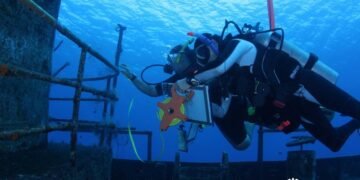 ¿Te atreverías a explorar un museo bajo el mar? Impulsan la protección del legado sumergido