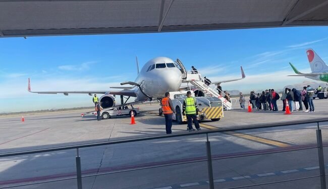 ¿Problemas con tu vuelo? Esto dice la ley y así puede ayudarte Profeco