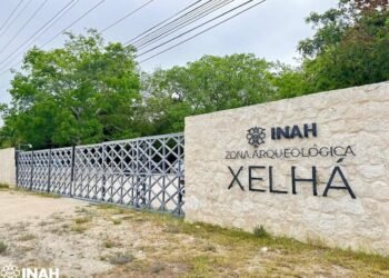 ¿Planeas visitar la Riviera Maya? Xel Há ya recibe nuevamente a los visitantes