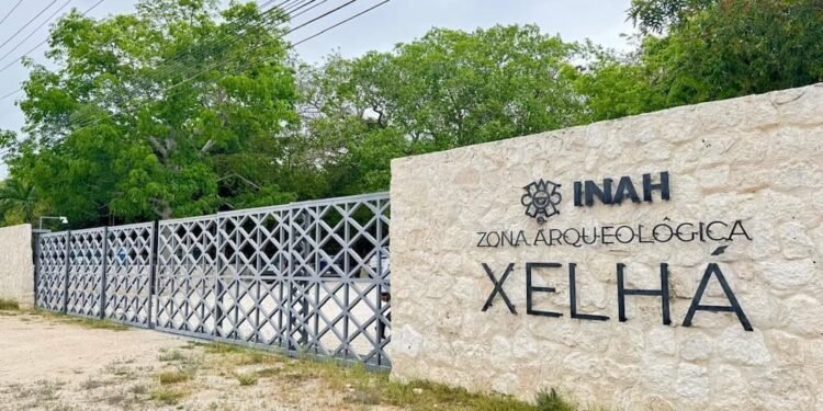¿Planeas visitar la Riviera Maya? Xel Há ya recibe nuevamente a los visitantes