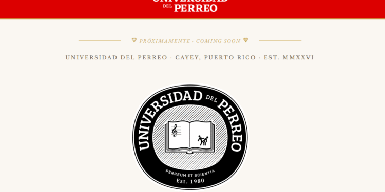 Wisin sorprende con la Universidad del Perreo; ya hay materias y preadmisiones