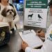 Gusano barrenador cambia las reglas: México refuerza requisitos para perros y aves que llegan de EU
