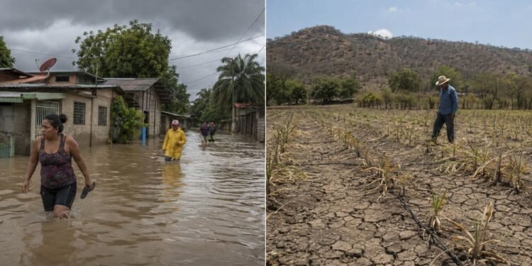 ¿Qué está pasando con El Niño? Panamá y El Salvador activan alertas por clima extremo