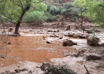 ¿Qué pasó en el Gran Cañón? Inundación deja dos muertos, evacuados y graves daños