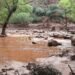 ¿Qué pasó en el Gran Cañón? Inundación deja dos muertos, evacuados y graves daños
