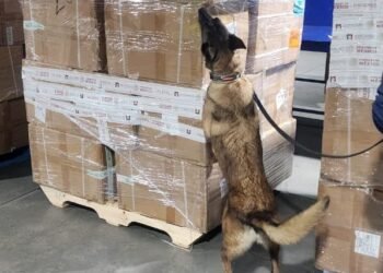 Golpe al comercio ilícito: aseguran 2.2 millones de cigarrillos apócrifos en el AICM