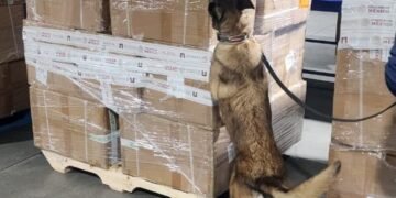 Golpe al comercio ilícito: aseguran 2.2 millones de cigarrillos apócrifos en el AICM