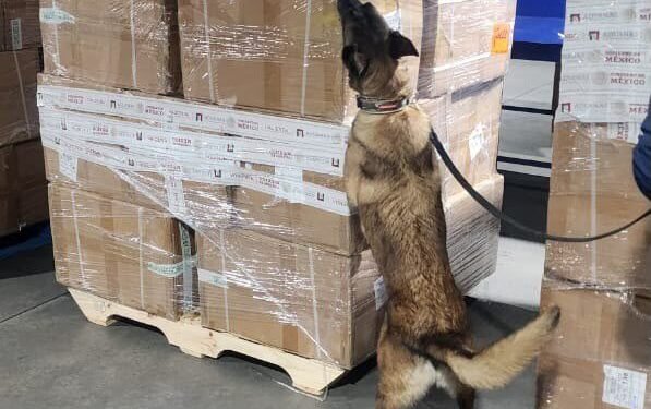Golpe al comercio ilícito: aseguran 2.2 millones de cigarrillos apócrifos en el AICM