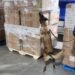 Golpe al comercio ilícito: aseguran 2.2 millones de cigarrillos apócrifos en el AICM