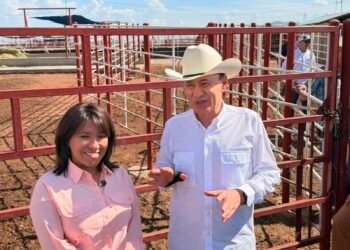 México reanuda exportación de ganado a Estados Unidos tras frenar al gusano barrenador