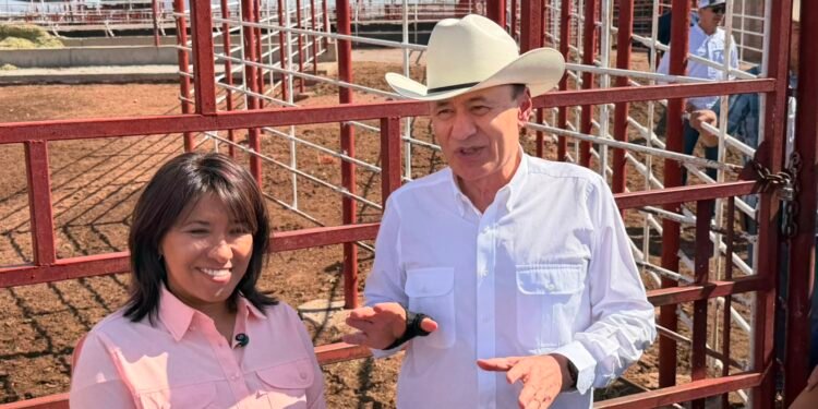 México reanuda exportación de ganado a Estados Unidos tras frenar al gusano barrenador