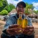 La abeja maya que vuelve a cobrar fuerza; Xunán kab impulsa comunidades del sureste