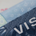 Estados Unidos suspende de forma global y todas las citas para tramitar visa