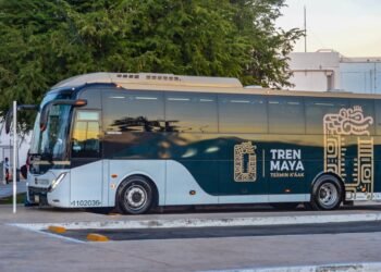 ¿Trabajas o estudias en Cancún? Tren Maya reanudará ruta desde Playa del Carmen
