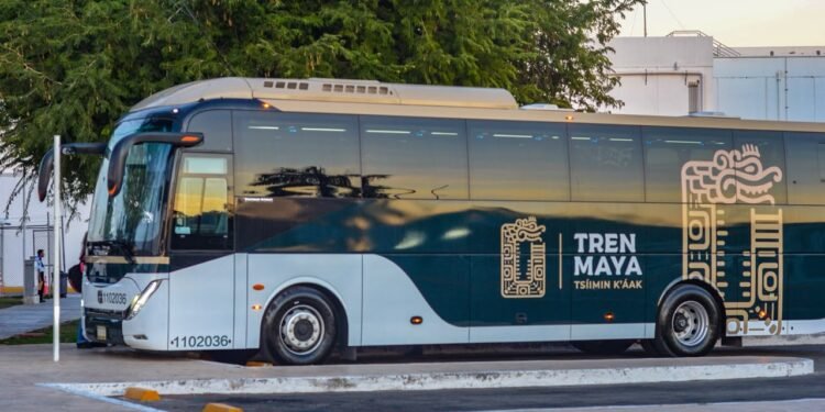 ¿Trabajas o estudias en Cancún? Tren Maya reanudará ruta desde Playa del Carmen
