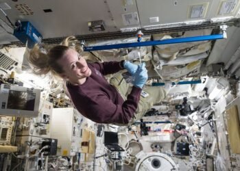 ¿Los humanos llevarán microbios a la Luna? NASA identifica posibles sobrevivientes