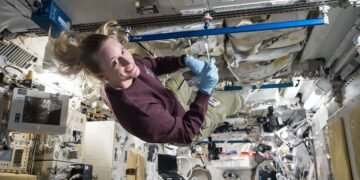¿Los humanos llevarán microbios a la Luna? NASA identifica posibles sobrevivientes