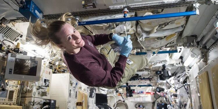 ¿Los humanos llevarán microbios a la Luna? NASA identifica posibles sobrevivientes