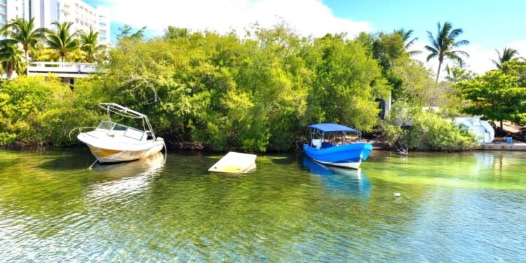 Van por el cementerio de barcos en la laguna Nichupté: entre 45 y 50 embarcaciones a retiro