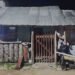 De película: hallan “invernadero” de hierba y arsenal en dos cateos en Lázaro Cárdenas