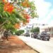 Catean lujoso departamento en zona residencial por presunto narcomenudeo