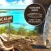 Un objeto del pleistoceno hallado en Bacalar está cambiando la historia del Caribe Mexicano