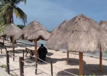 ¿Qué ocurrió en Playa del Niño? Hallazgo de un cuerpo moviliza a las autoridades