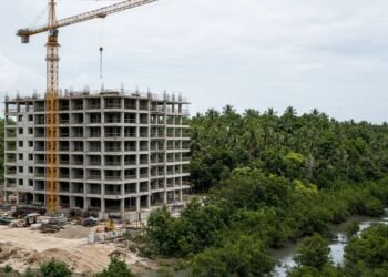 ¡Que el PDU no se coma la selva! Puerto Morelos junta firmas por sus humedales
