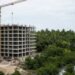 ¡Que el PDU no se coma la selva! Puerto Morelos junta firmas por sus humedales