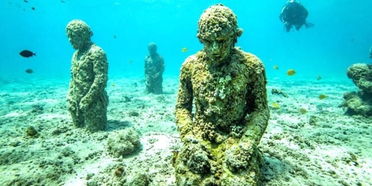 Museo Subacuático también resiente la baja de visitantes: cae 20% la afluencia en 2026