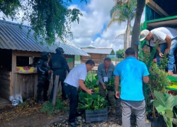 ¿Eres amante de las plantas? Hay una compra que podría salirte muy cara